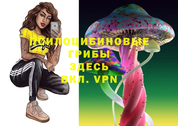 соль курить ск Аркадак
