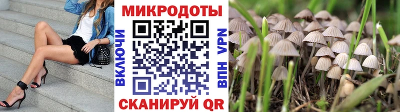 Галлюциногенные грибы GOLDEN TEACHER  Купить  Урюпинск 